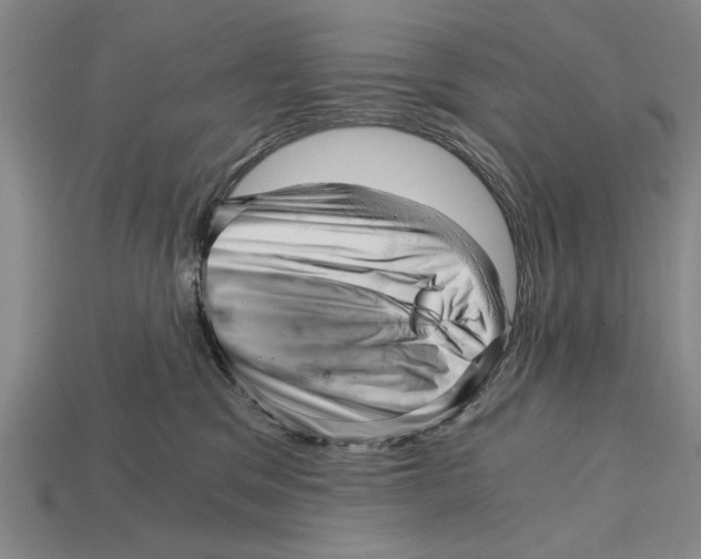 X0000114430329200911131337