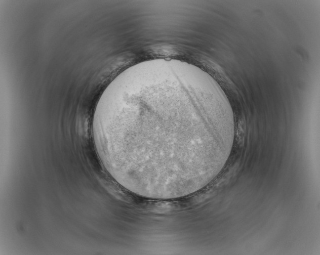 X0000114430330200911131337