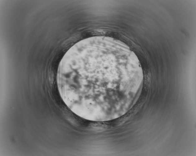 X0000114430331200911131337