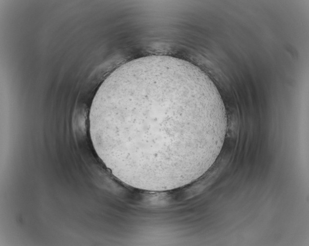 X0000114430334200911131337