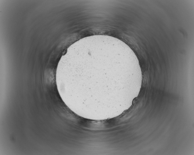 X0000114430335200911131337