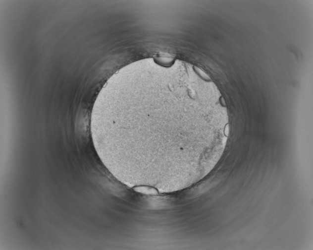 X0000114430336200911131337