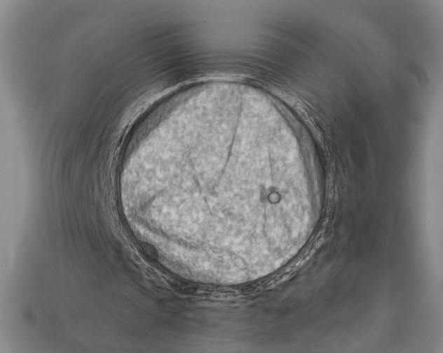 X0000114430337200911131336