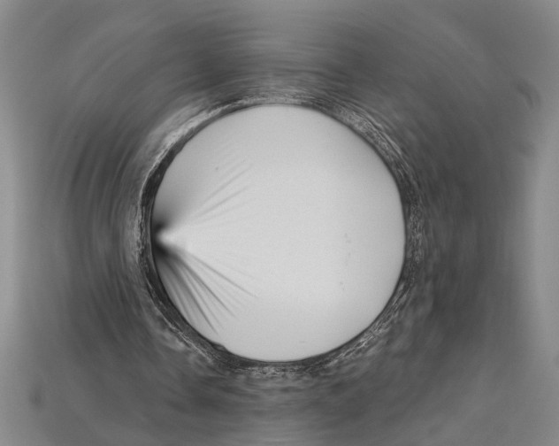 X0000114430338200911131336