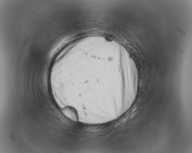 X0000114430341200911131336