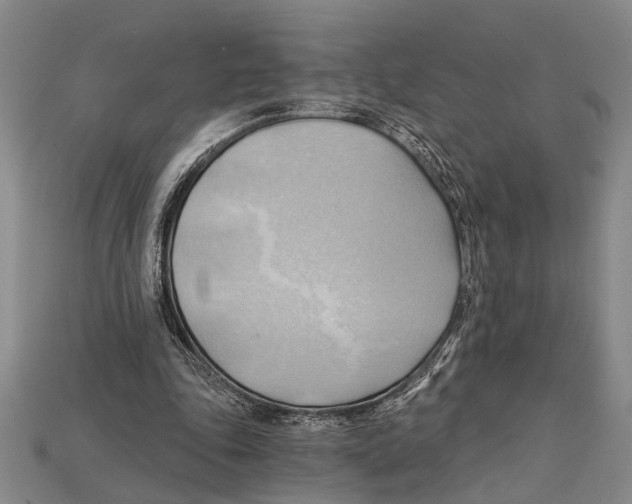 X0000114430343200911131336