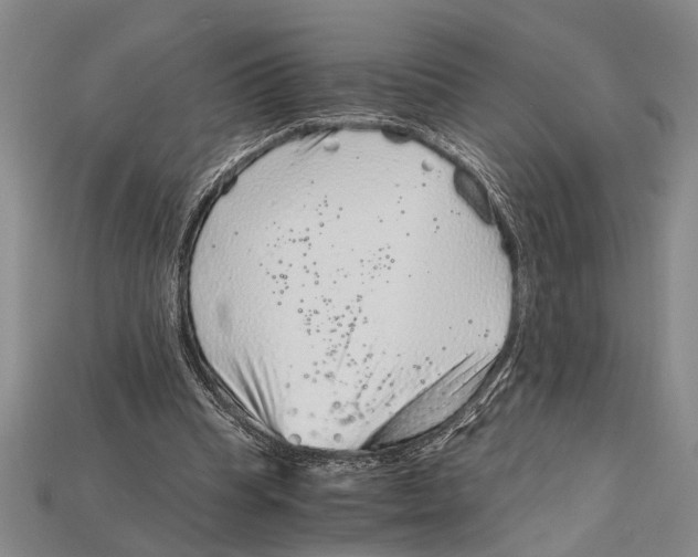 X0000114430345200911131336