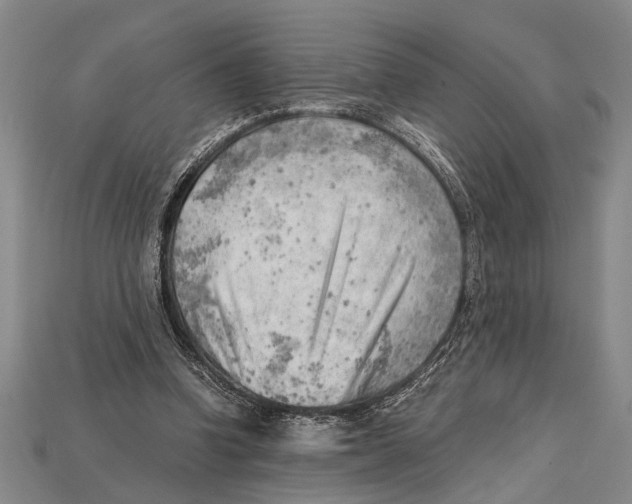 X0000114430346200911131336