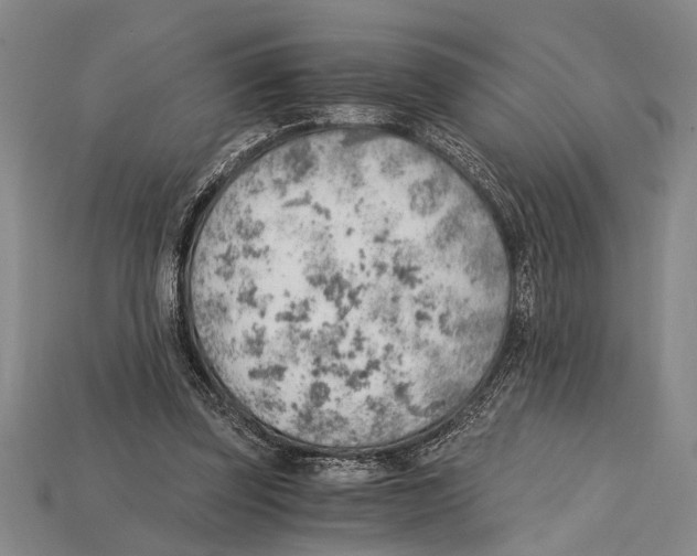 X0000114430347200911131336