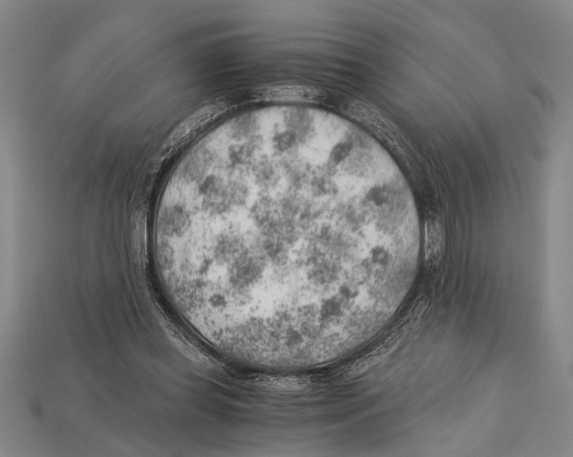 X0000114430349200911131336