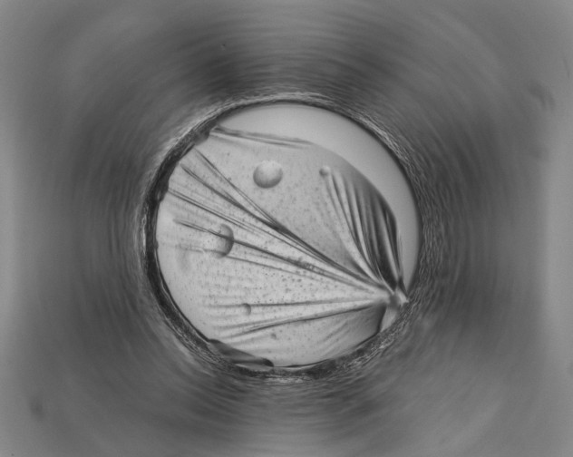 X0000114430350200911131336