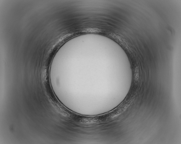 X0000114430351200911131336