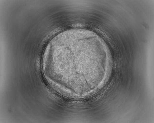 X0000114430353200911131336