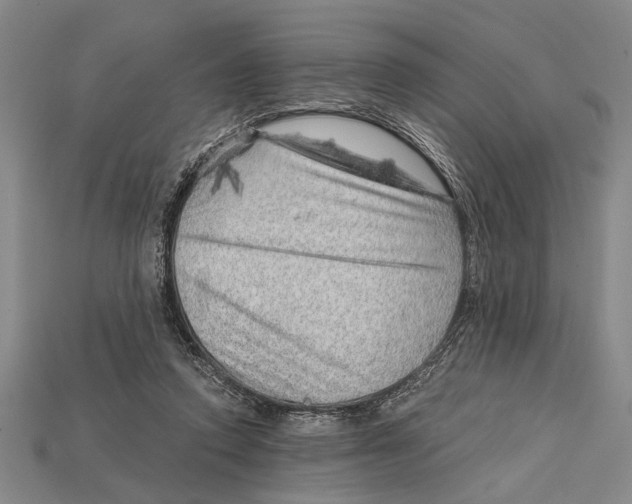 X0000114430354200911131336