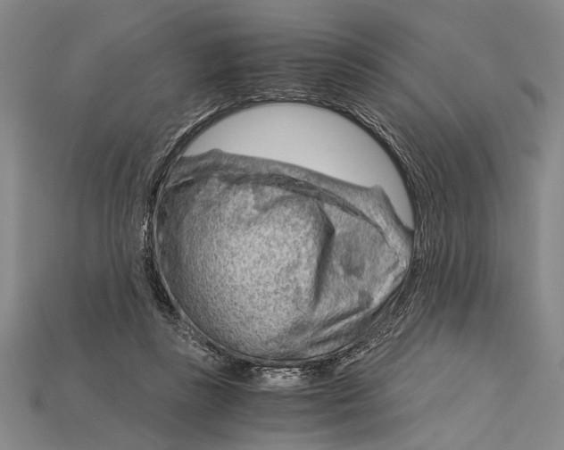 X0000114430355200911131336