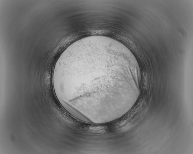 X0000114430357200911131336