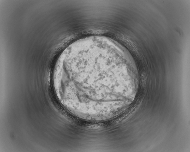 X0000114430358200911131336