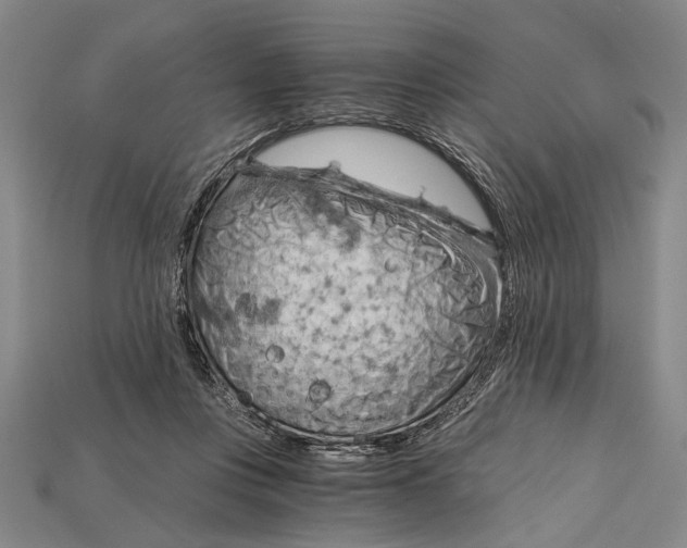 X0000114430359200911131336