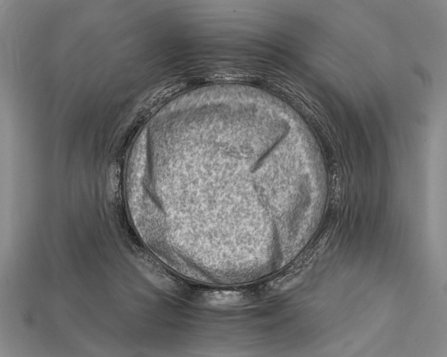 X0000114430361200911131336