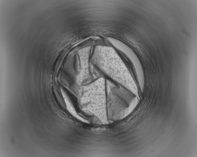 X0000114430362200911131336