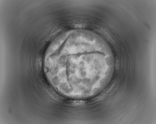 X0000114430363200911131336