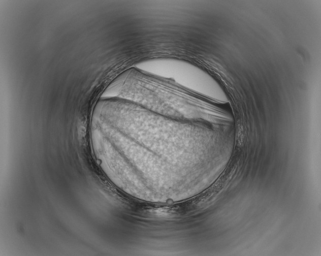 X0000114430365200911131336