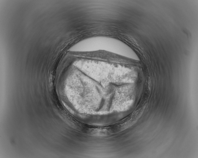 X0000114430366200911131336