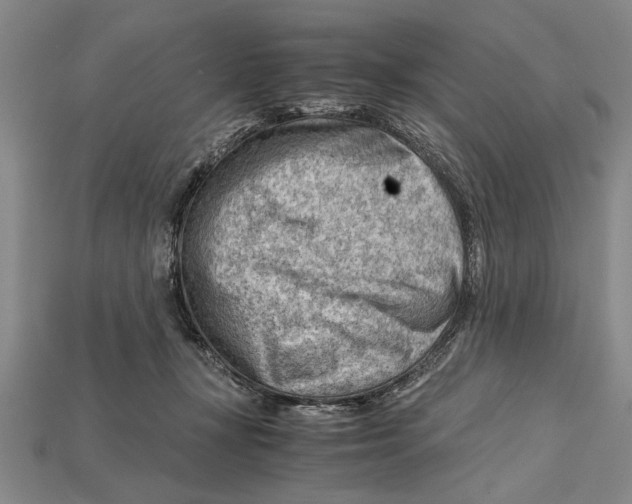 X0000114430367200911131336