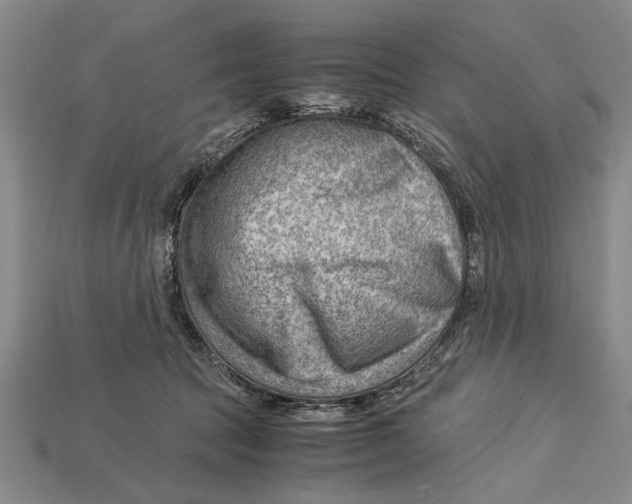 X0000114430369200911131336