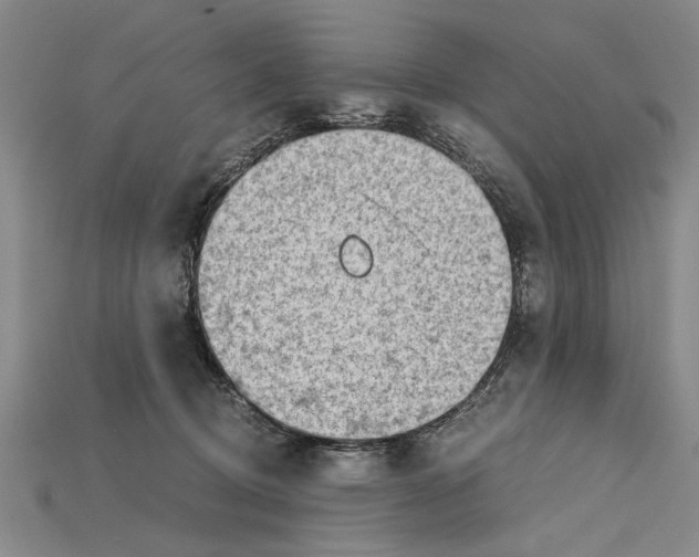 X0000114430370200911131336