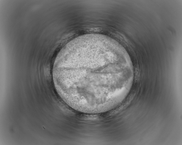 X0000114430377200911131337