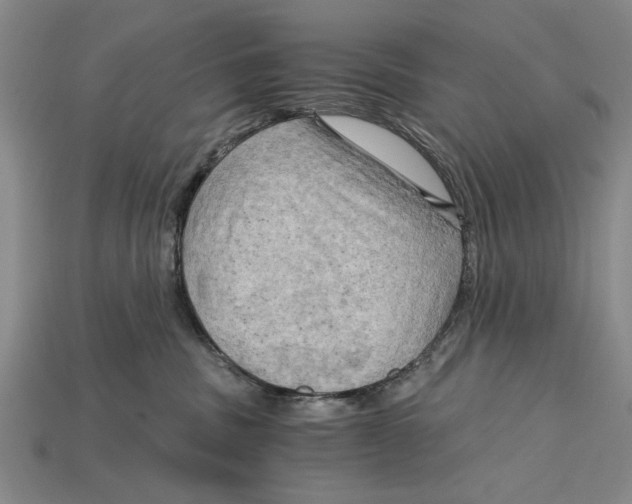 X0000114430379200911131337