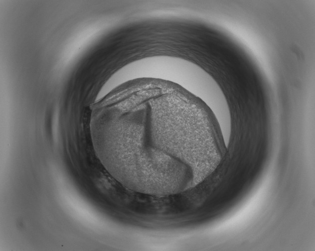 X0000114430382200911131337