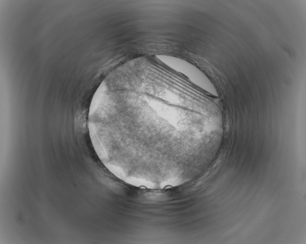 X0000114430383200911131337