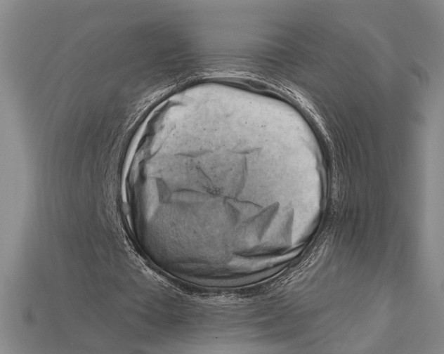 X0000114430385200911131336