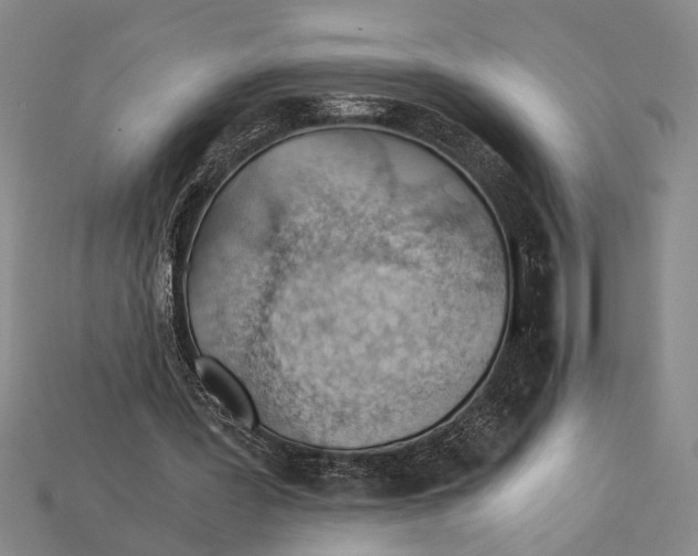 X0000114430387200911131336