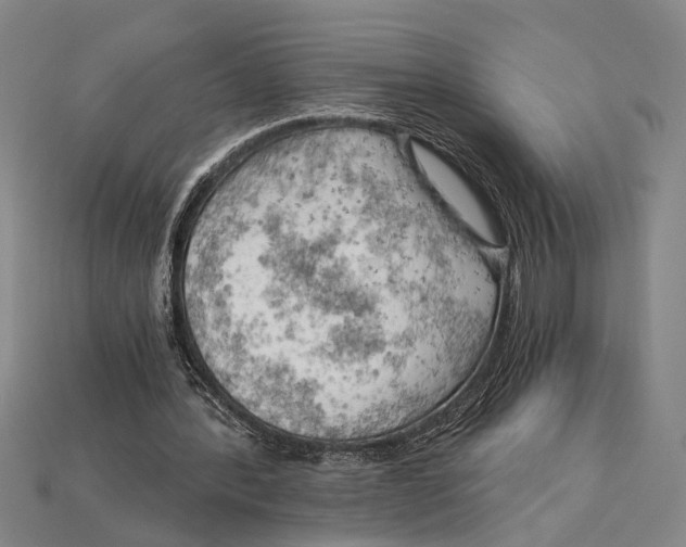 X0000114430388200911131336