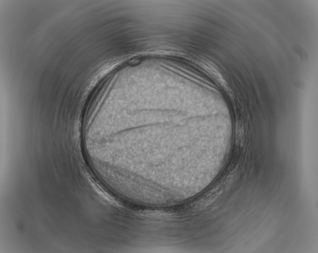 X0000114430389200911131336