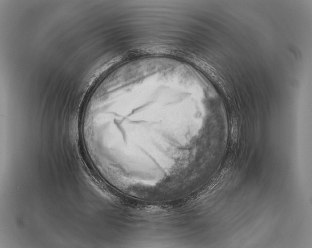 X0000114430390200911131336