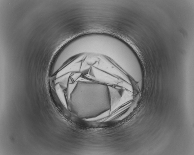 X0000114430391200911131336