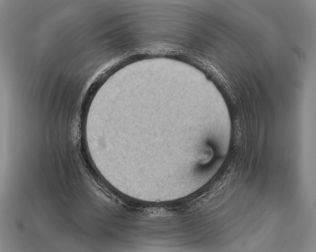 X0000114430392200911131336