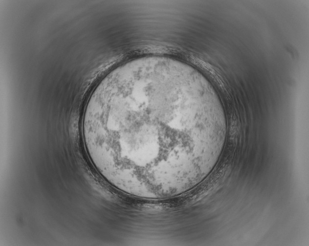 X0000114430394200911131336