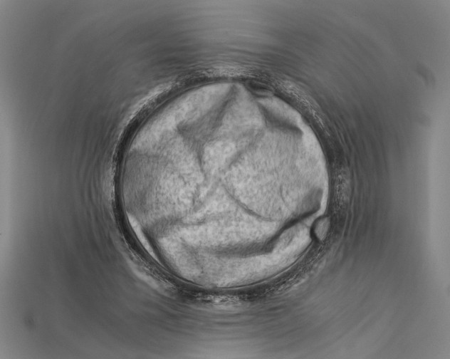 X0000114430395200911131336