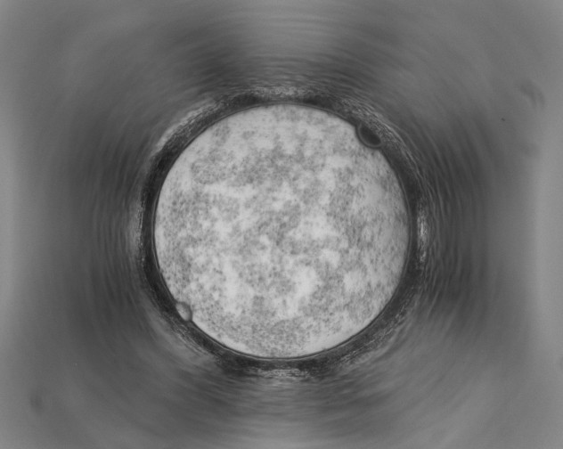 X0000114430396200911131336