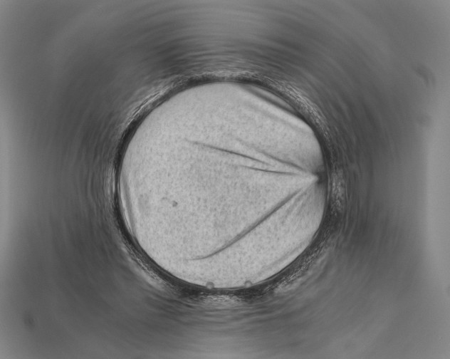 X0000114430397200911131336