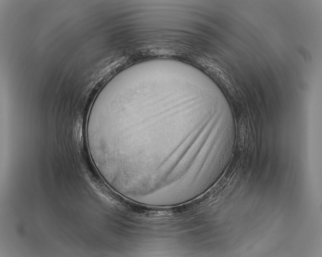 X0000114430398200911131336