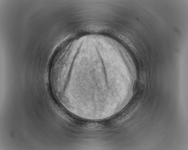 X0000114430399200911131336