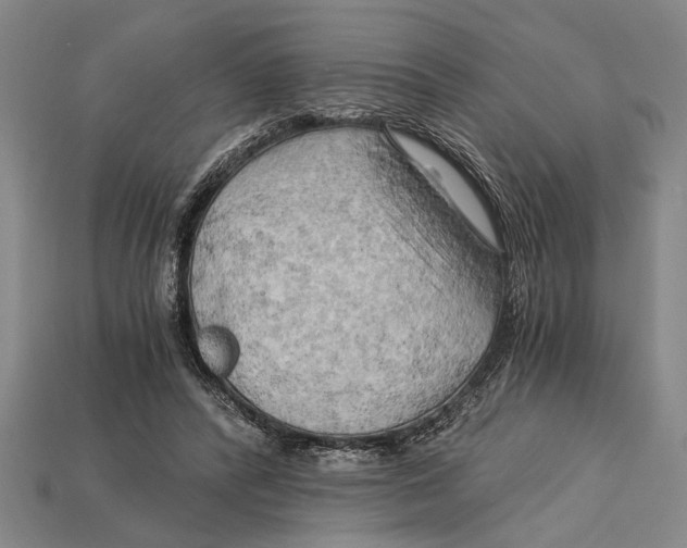 X0000114430400200911131336