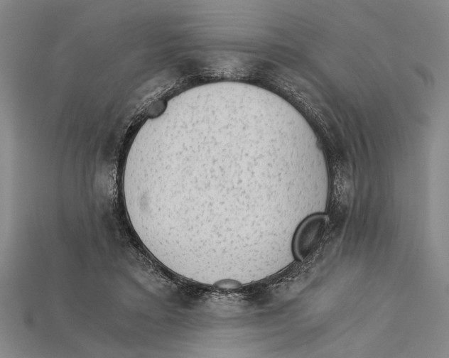 X0000114430403200911131336