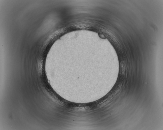 X0000114430404200911131336